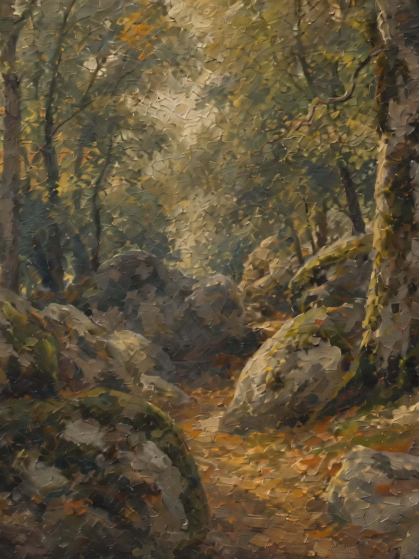 Luz en el sotobosque