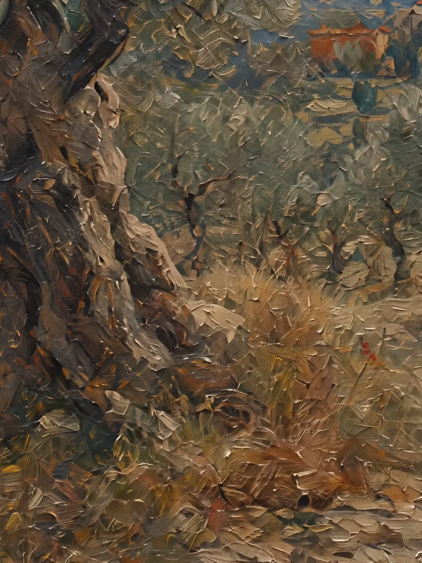 El olivar centenario